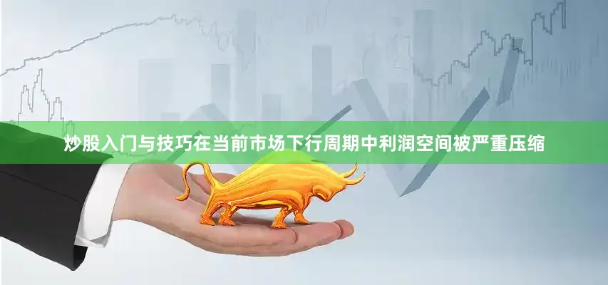 炒股入门与技巧在当前市场下行周期中利润空间被严重压缩
