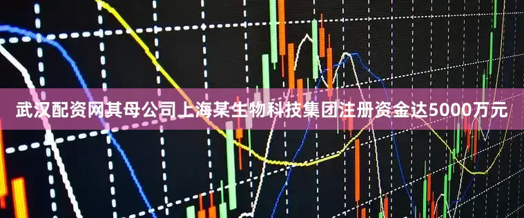 武汉配资网其母公司上海某生物科技集团注册资金达5000万元