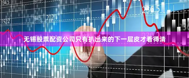 无锡股票配资公司只有扒出来的下一层皮才看得清